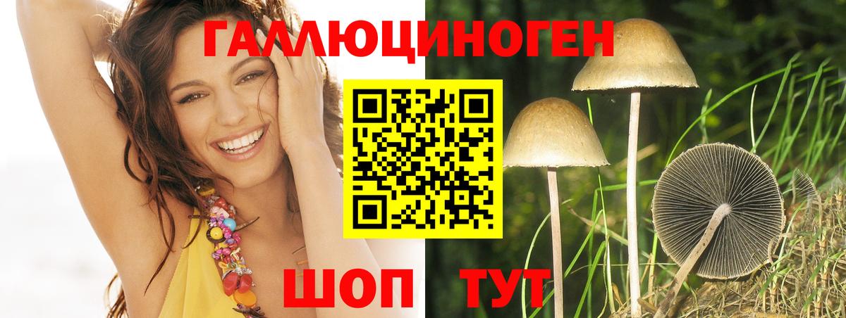 Псилоцибиновые грибы GOLDEN TEACHER  сколько стоит  Ростов Великий  Вход с VPN 